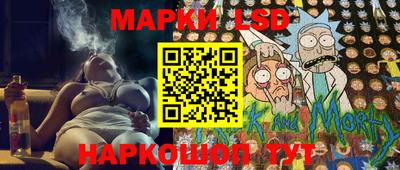 дмт Аргун