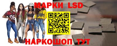 дмт Аргун
