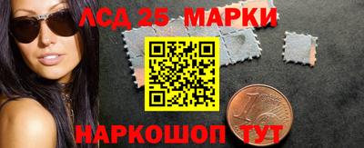 дмт Аргун