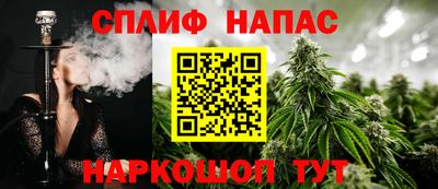 дмт Аргун