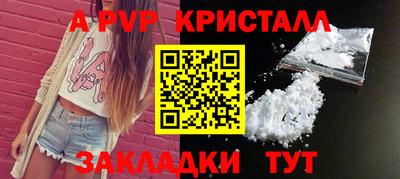 дмт Аргун