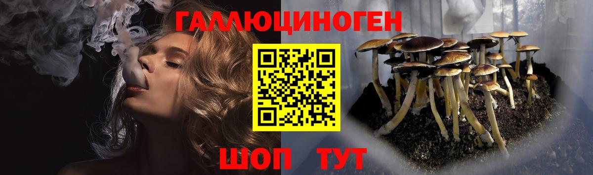 Галлюциногенные грибы Cubensis Аша