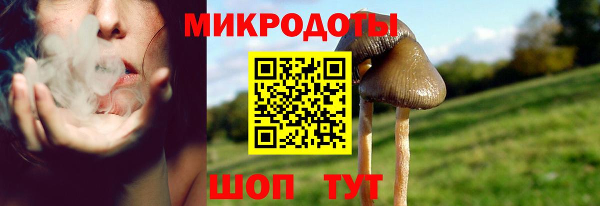 Псилоцибиновые грибы Psilocybine cubensis  Галлюциногенные грибы мицелий  Аша  Вход с VPN 