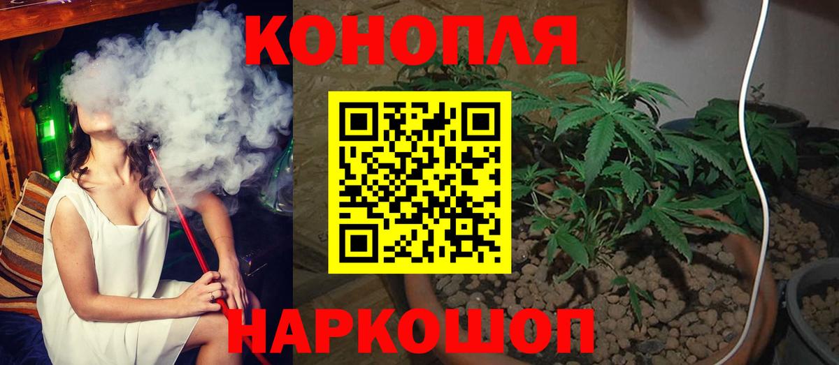 Аша  Бошки марихуана индика  Конопля OG Kush  Вход с VPN  Канабис сатива 